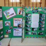 Purvis Primary School Science Fair Bermuda, February 22 2017 (9)