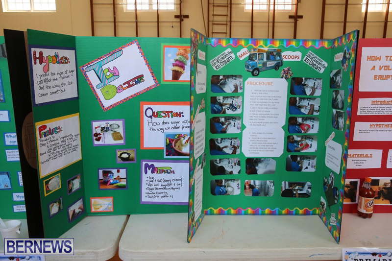 Purvis-Primary-School-Science-Fair-Bermuda-February-22-2017-9