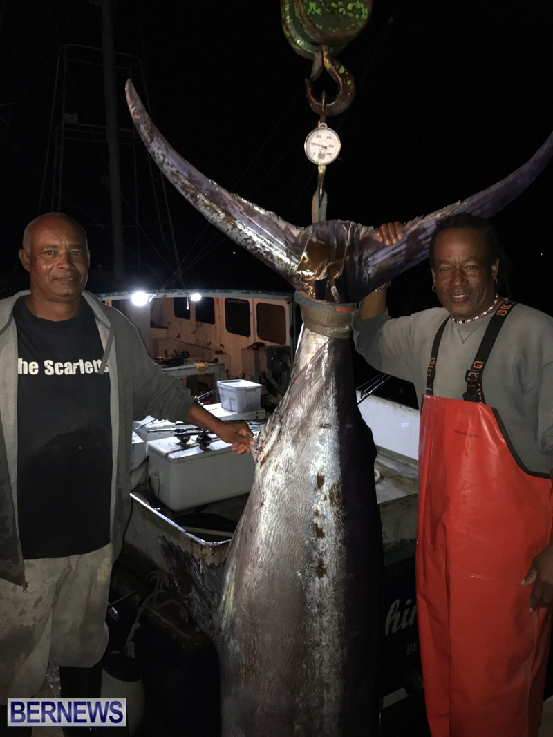 large fish bermuda 2017 (5)