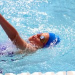 2nd Best of the Best Swimming Meet Bermuda March 4 2017 (4)