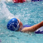 2nd Best of the Best Swimming Meet Bermuda March 4 2017 (7)