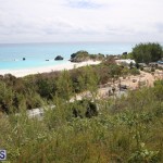 Horseshoe Bay Beach work Bermuda march 16 2017 (6)