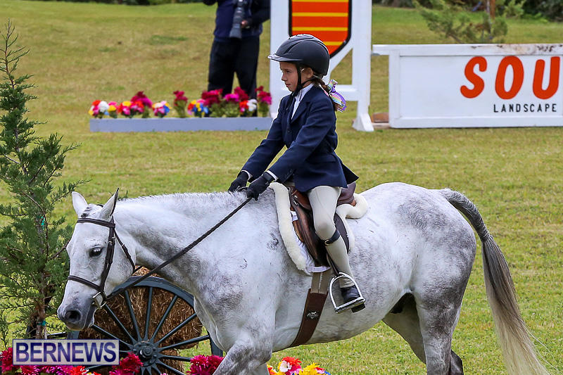 RES-Spring-Horse-Show-Series-Bermuda-March-11-2017-1
