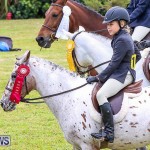 RES Spring Horse Show Series Bermuda, March 11 2017-11