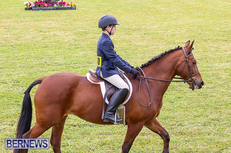 RES-Spring-Horse-Show-Series-Bermuda-March-11-2017-13
