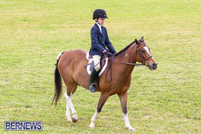 RES-Spring-Horse-Show-Series-Bermuda-March-11-2017-14
