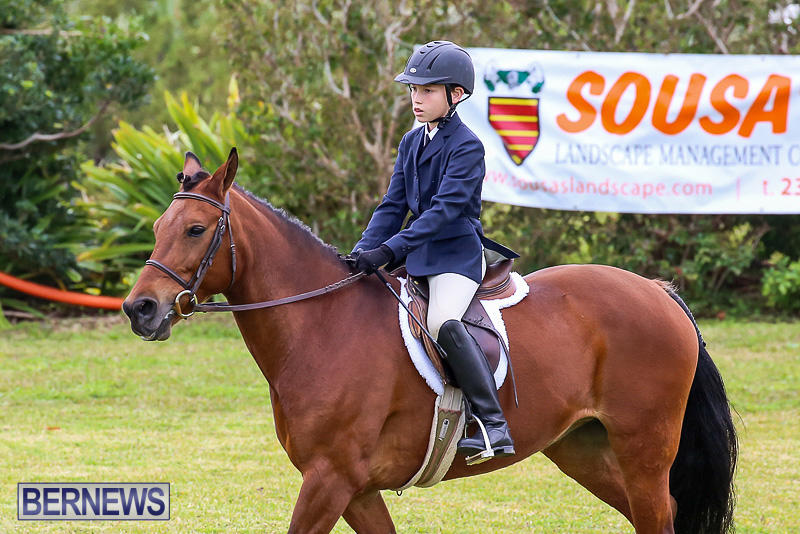 RES-Spring-Horse-Show-Series-Bermuda-March-11-2017-16
