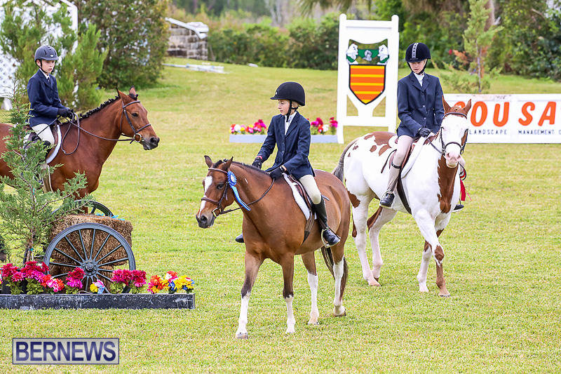 RES-Spring-Horse-Show-Series-Bermuda-March-11-2017-17