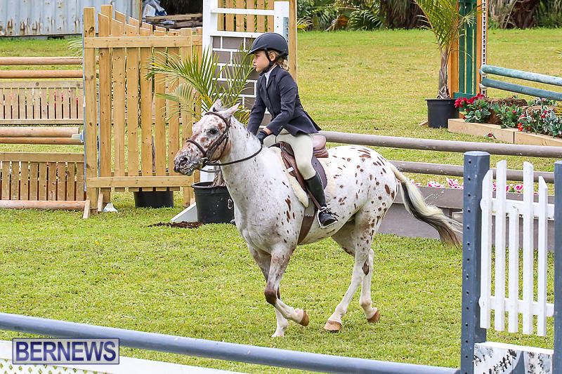 RES-Spring-Horse-Show-Series-Bermuda-March-11-2017-23