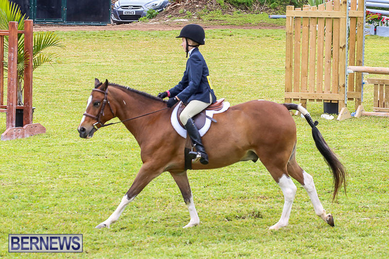 RES-Spring-Horse-Show-Series-Bermuda-March-11-2017-24