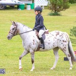 RES Spring Horse Show Series Bermuda, March 11 2017-25