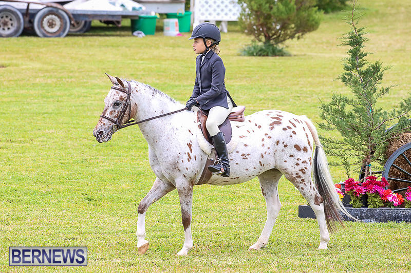 RES-Spring-Horse-Show-Series-Bermuda-March-11-2017-25