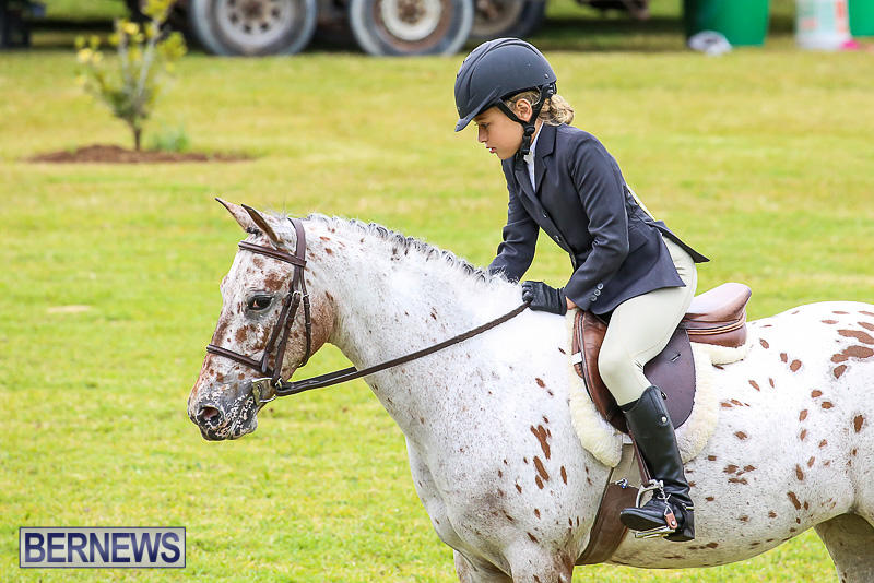 RES-Spring-Horse-Show-Series-Bermuda-March-11-2017-26