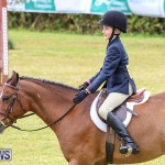 RES Spring Horse Show Series Bermuda, March 11 2017-28