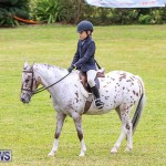 RES Spring Horse Show Series Bermuda, March 11 2017-3