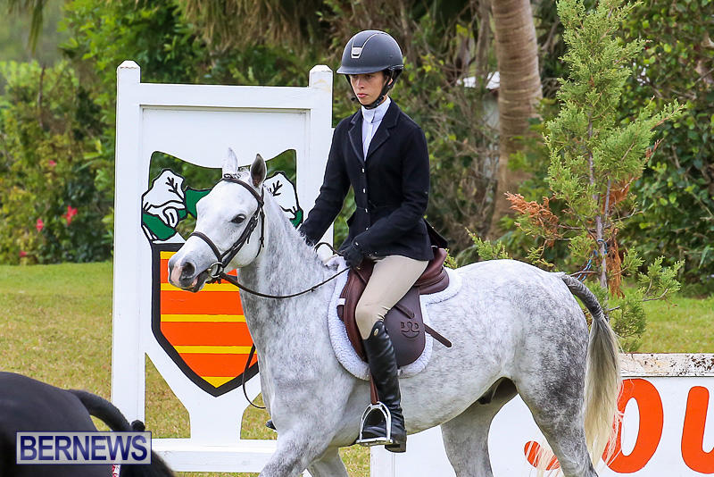 RES-Spring-Horse-Show-Series-Bermuda-March-11-2017-37
