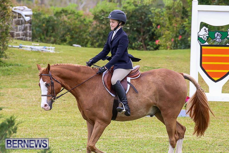 RES-Spring-Horse-Show-Series-Bermuda-March-11-2017-39