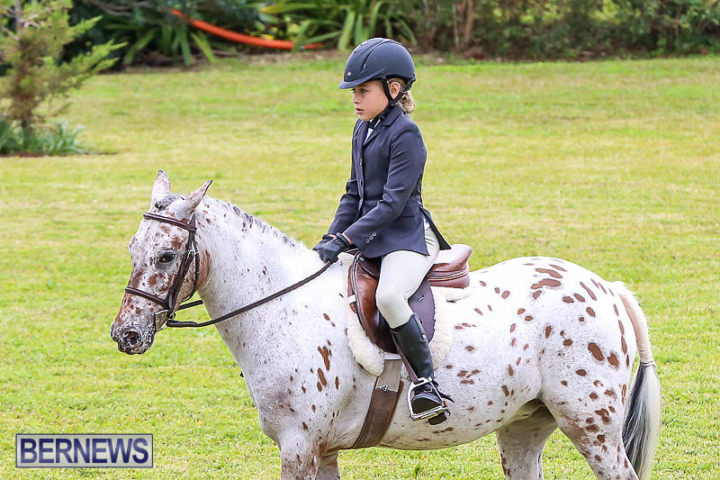 RES-Spring-Horse-Show-Series-Bermuda-March-11-2017-4
