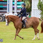 RES Spring Horse Show Series Bermuda, March 11 2017-40