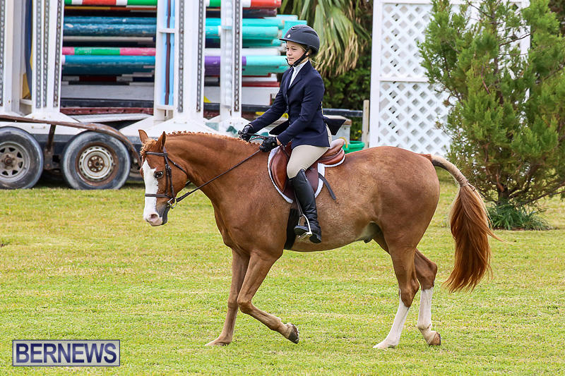 RES-Spring-Horse-Show-Series-Bermuda-March-11-2017-40