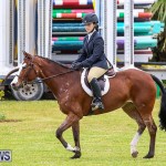 RES Spring Horse Show Series Bermuda, March 11 2017-42