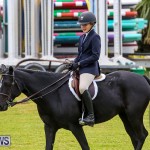RES Spring Horse Show Series Bermuda, March 11 2017-44
