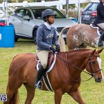 RES Spring Horse Show Series Bermuda, March 11 2017-45