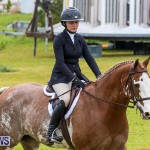 RES Spring Horse Show Series Bermuda, March 11 2017-46