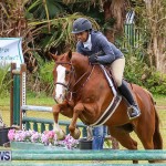 RES Spring Horse Show Series Bermuda, March 11 2017-48
