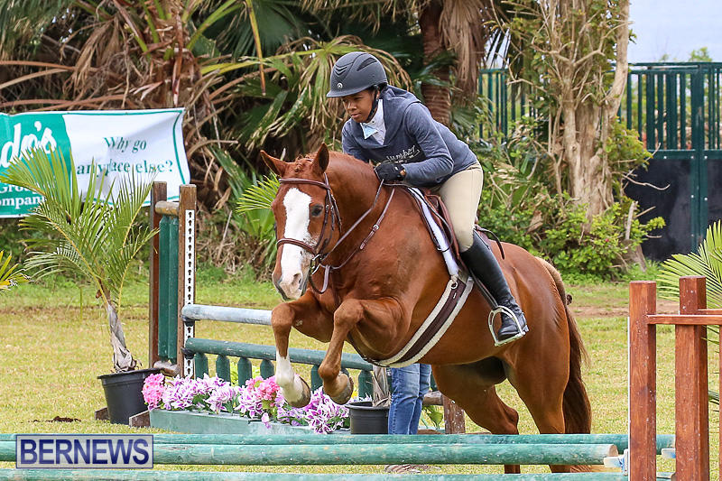 RES-Spring-Horse-Show-Series-Bermuda-March-11-2017-48