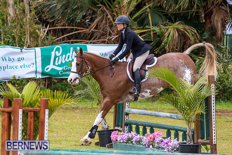 RES-Spring-Horse-Show-Series-Bermuda-March-11-2017-50