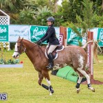 RES Spring Horse Show Series Bermuda, March 11 2017-51