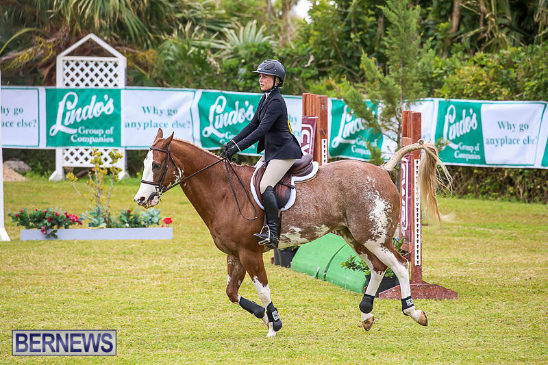 RES-Spring-Horse-Show-Series-Bermuda-March-11-2017-51