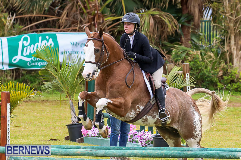 RES-Spring-Horse-Show-Series-Bermuda-March-11-2017-53