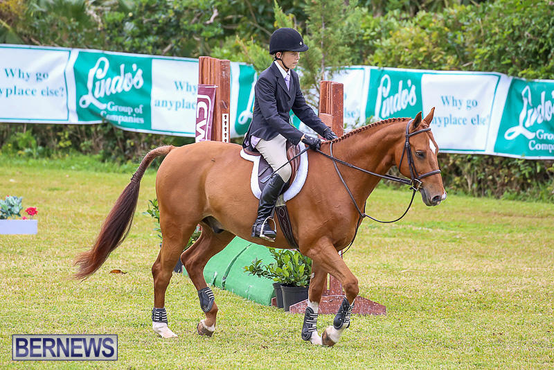RES-Spring-Horse-Show-Series-Bermuda-March-11-2017-58