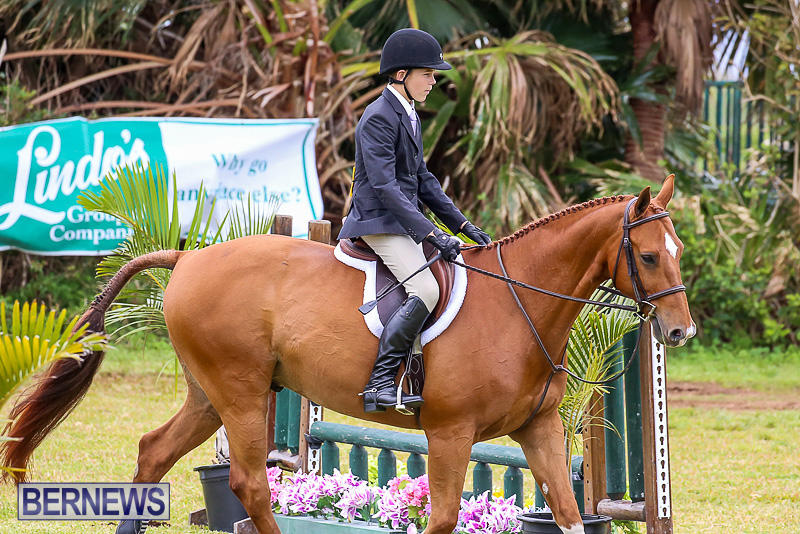 RES-Spring-Horse-Show-Series-Bermuda-March-11-2017-59
