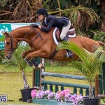 RES Spring Horse Show Series Bermuda, March 11 2017-61
