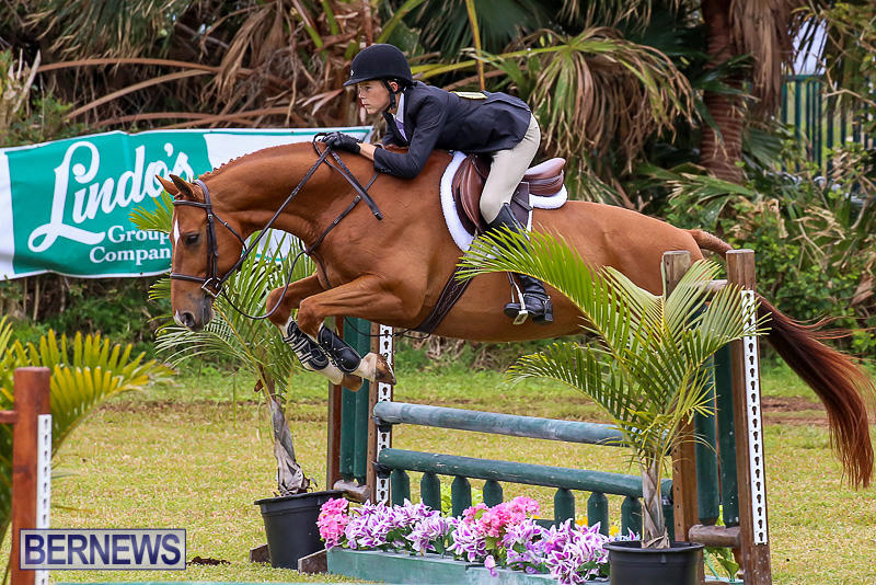 RES-Spring-Horse-Show-Series-Bermuda-March-11-2017-61