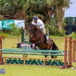 RES Spring Horse Show Series Bermuda, March 11 2017-72