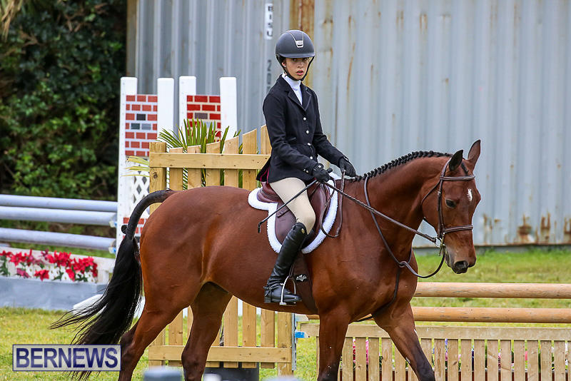 RES-Spring-Horse-Show-Series-Bermuda-March-11-2017-75