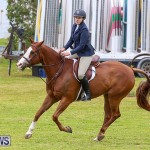 RES Spring Horse Show Series Bermuda, March 11 2017-76