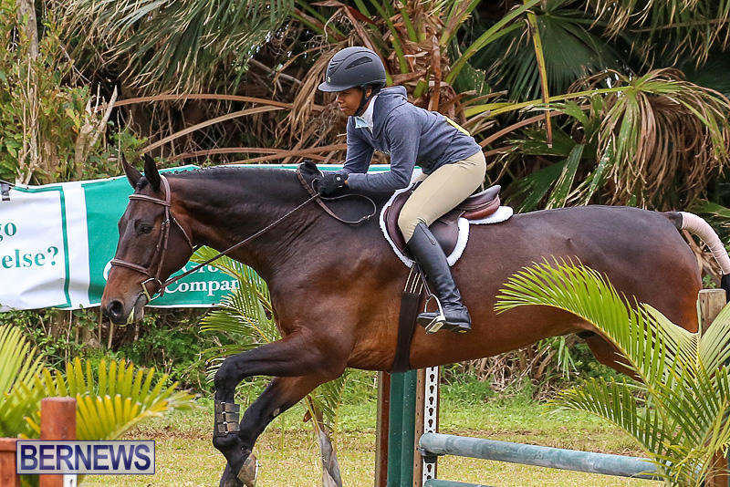 RES-Spring-Horse-Show-Series-Bermuda-March-11-2017-80