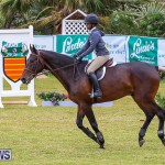 RES Spring Horse Show Series Bermuda, March 11 2017-81