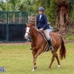 RES Spring Horse Show Series Bermuda, March 11 2017-82