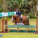 RES Spring Horse Show Series Bermuda, March 11 2017-84