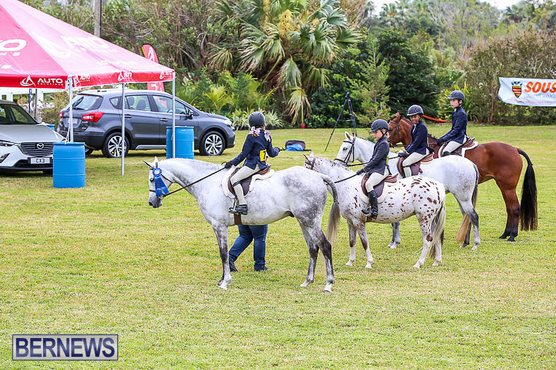 RES-Spring-Horse-Show-Series-Bermuda-March-11-2017-9