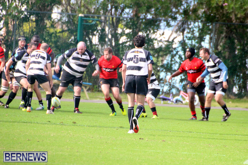 Rugby-Nicholl-Shield-Scully-Cup-Bermuda-March-4-2017-1
