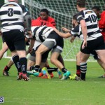 Rugby Nicholl Shield & Scully Cup Bermuda March 4 2017 (10)