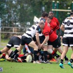 Rugby Nicholl Shield & Scully Cup Bermuda March 4 2017 (14)