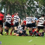 Rugby Nicholl Shield & Scully Cup Bermuda March 4 2017 (2)